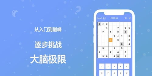 数独游戏适合多大孩子,从幼儿到成人的全年龄段益智挑战(图3) 数独游戏适合多大孩子,从幼儿到成人的全年龄段益智挑战(图3)