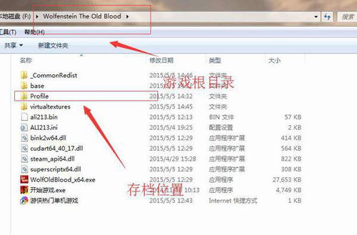 覆盖游戏根目录,打造你的专属游戏体验(图1) 覆盖游戏根目录,打造你的专属游戏体验(图1)