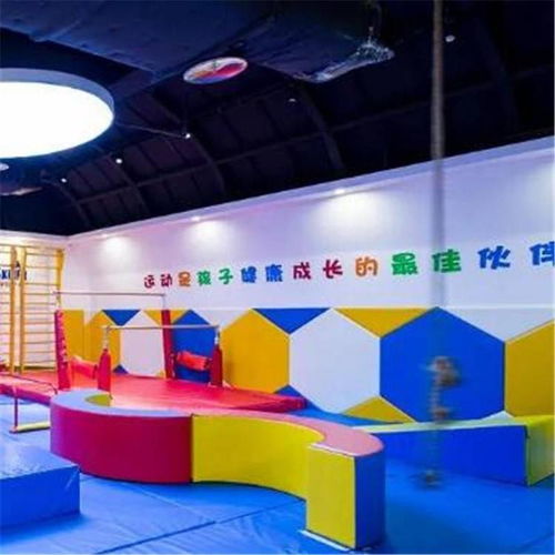 室内感统游戏,快乐成长之道(图3) 室内感统游戏,快乐成长之道(图3)