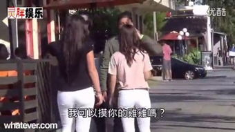 摸jj游戏,棋牌竞技的魅力与乐趣(图3) 摸jj游戏,棋牌竞技的魅力与乐趣(图3)