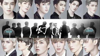 橙光游戏exo的歌曲,经典旋律与剧情交织的听觉盛宴(图3) 橙光游戏exo的歌曲,经典旋律与剧情交织的听觉盛宴(图3)