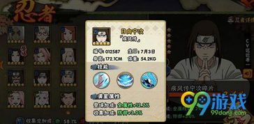 宁次游戏,宁次技能解析与实战攻略(图3) 宁次游戏,宁次技能解析与实战攻略(图3)