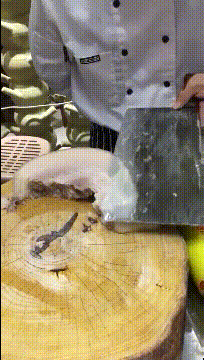 塞子游戏图片,趣味盎然的互动体验(图1) 塞子游戏图片,趣味盎然的互动体验(图1)