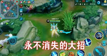 王者荣耀游戏漏洞,游戏漏洞与平衡性挑战(图2) 王者荣耀游戏漏洞,游戏漏洞与平衡性挑战(图2)