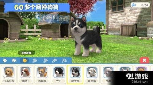 梦幻小狗游戏,体验真实养宠乐趣(图2) 梦幻小狗游戏,体验真实养宠乐趣(图2)