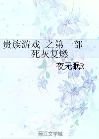 贵族游戏by夜无眠,夜无眠笔下的权谋盛宴(图1)