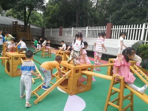 幼儿园户外游戏及目标,促进幼儿全面发展的重要途径(图3) 幼儿园户外游戏及目标,促进幼儿全面发展的重要途径(图3)