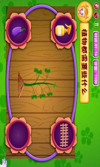 养金鱼的游戏,盘点热门养金鱼游戏体验(图1) 养金鱼的游戏,盘点热门养金鱼游戏体验(图1)