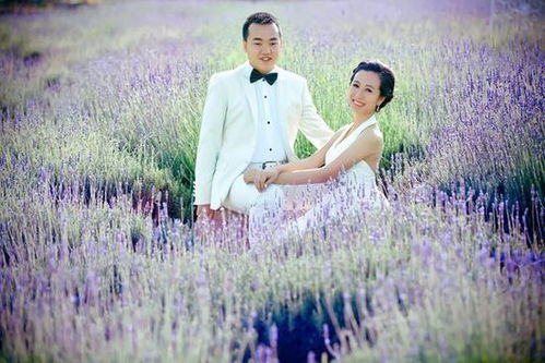 结婚怀孕游戏,结婚怀孕游戏盘点(图2) 结婚怀孕游戏,结婚怀孕游戏盘点(图2)