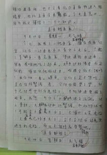 有趣的游戏作文350字,一次难忘的游戏体验(图1) 有趣的游戏作文350字,一次难忘的游戏体验(图1)
