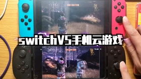 怀德花园switch游戏 (图1)