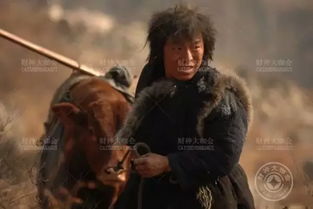 黄渤游戏宅,游戏宅的娱乐人生(图1) 黄渤游戏宅,游戏宅的娱乐人生(图1)