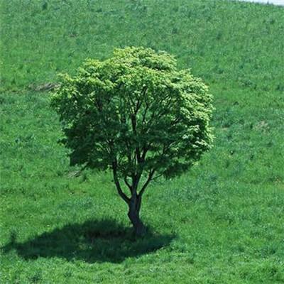 易游电子游戏,畅游虚拟世界的奇幻之旅(图1) 易游电子游戏,畅游虚拟世界的奇幻之旅(图1)