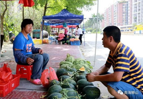 摘瓜游戏,智慧比拼的欢乐时光(图2) 摘瓜游戏,智慧比拼的欢乐时光(图2)