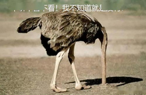 手指游戏大鸵鸟,轻松学手语(图2) 手指游戏大鸵鸟,轻松学手语(图2)
