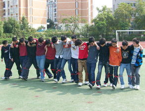 学校团队游戏,校园团队游戏活动精彩纷呈”(图1)