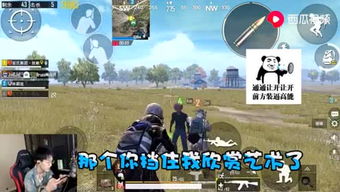 人轿游戏,AU多人在线角色扮演游戏深度解析(图1)