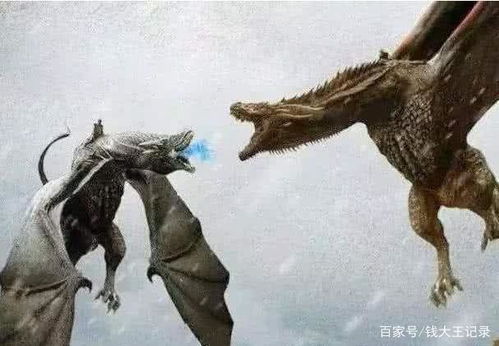 权力的游戏龙出生,神秘生物的诞生之谜(图1) 权力的游戏龙出生,神秘生物的诞生之谜(图1)