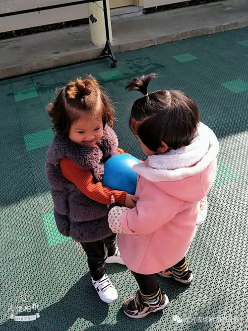 幼儿夹球游戏,锻炼协作与身体协调的欢乐时光(图1) 幼儿夹球游戏,锻炼协作与身体协调的欢乐时光(图1)