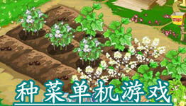种菜单机游戏,盘点2025年度最受欢迎的单机种菜游戏(图1) 种菜单机游戏,盘点2025年度最受欢迎的单机种菜游戏(图1)
