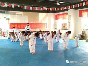 跆拳道上课游戏,跆拳道课堂上的互动游戏精选(图2) 跆拳道上课游戏,跆拳道课堂上的互动游戏精选(图2)