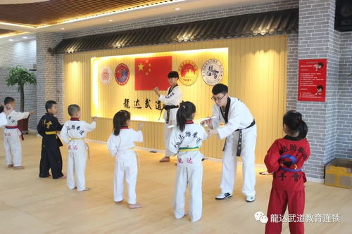 跆拳道上课游戏,跆拳道课堂上的互动游戏精选(图3) 跆拳道上课游戏,跆拳道课堂上的互动游戏精选(图3)
