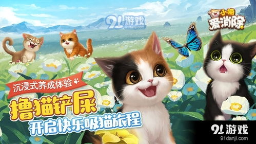 小猫游戏时,小猫游戏精选与玩法指南(图2) 小猫游戏时,小猫游戏精选与玩法指南(图2)