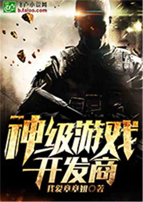 游戏开发商小说,开发商与小说的跨界融合之旅(图2) 游戏开发商小说,开发商与小说的跨界融合之旅(图2)