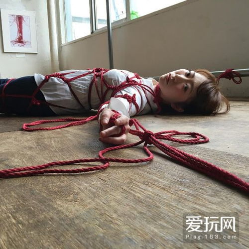 龟甲缚游戏(图1) 龟甲缚游戏(图1)