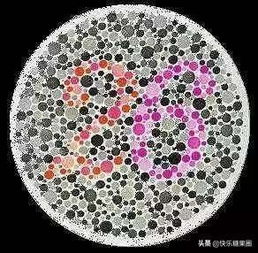 色弱测试游戏,体验在线色弱测试游戏(图2) 色弱测试游戏,体验在线色弱测试游戏(图2)