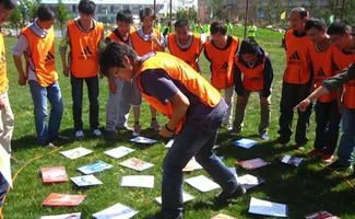拓展游戏大,团队协作与信任的磨砺之旅(图2)