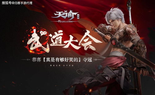 游戏名称刀,刀客传奇(图2)