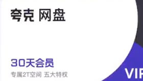 谷歌断网小游戏,谷歌断网小恐龙游戏的趣味探险(图3) 谷歌断网小游戏,谷歌断网小恐龙游戏的趣味探险(图3)