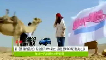 爱看游戏,揭秘玩家热衷观看游戏视频的现象(图3) 爱看游戏,揭秘玩家热衷观看游戏视频的现象(图3)