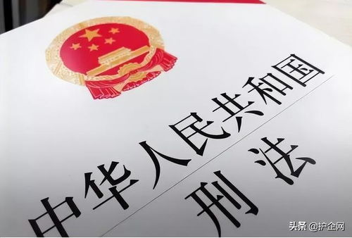 法律文字游戏(图3)