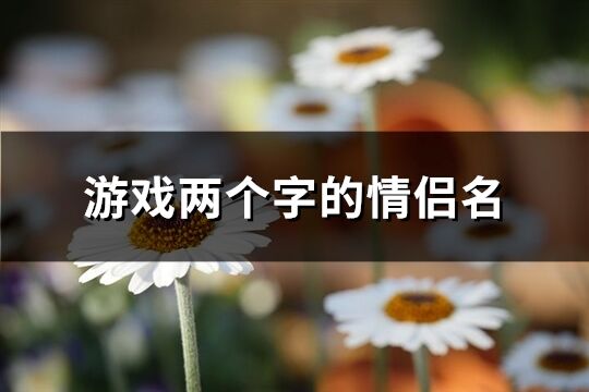俩字情侣游戏名字(图1)