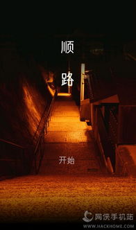 顺路游戏,轻松出行新体验(图1)