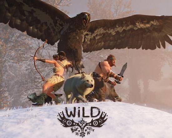 Wild游戏,Wild游戏深度解析(图2) Wild游戏,Wild游戏深度解析(图2)