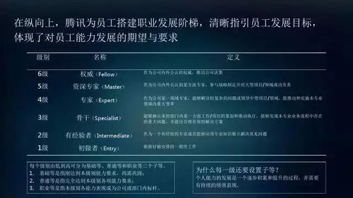 游戏公司hr,揭秘人才选拔与培养之道(图1) 游戏公司hr,揭秘人才选拔与培养之道(图1)
