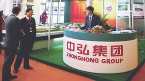 中弘游戏,探索中国游戏产业的崛起之路(图3) 中弘游戏,探索中国游戏产业的崛起之路(图3)