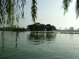 大明湖游戏(图1) 大明湖游戏(图1)