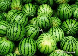 心理游戏西瓜,揭秘人际互动中的心理奥秘(图2) 心理游戏西瓜,揭秘人际互动中的心理奥秘(图2)