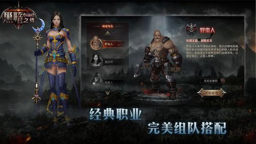 与暗黑破坏神类似的游戏,暗黑破坏神风味的奇幻冒险之旅(图2) 与暗黑破坏神类似的游戏,暗黑破坏神风味的奇幻冒险之旅(图2)