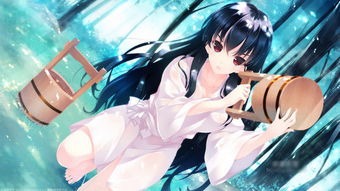 游戏少女神域,青春热血的奇幻冒险之旅(图2) 游戏少女神域,青春热血的奇幻冒险之旅(图2)