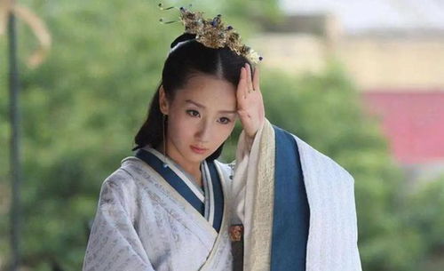 美人心计橙光游戏,宫廷权谋与爱恨情仇的橙光游戏之旅(图3)