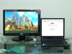 游戏双屏显示(图2) 游戏双屏显示(图2)