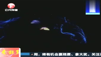 九九爱游戏,体验无限乐趣(图1) 九九爱游戏,体验无限乐趣(图1)
