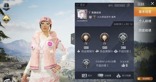 游戏id简单,探寻神秘游戏ID背后的传奇故事(图3) 游戏id简单,探寻神秘游戏ID背后的传奇故事(图3)