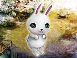 游戏大白兔,开启奇幻游戏之旅(图3) 游戏大白兔,开启奇幻游戏之旅(图3)