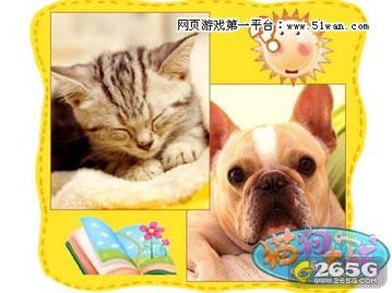 狗猫游戏下载,狗猫游戏下载攻略(图1) 狗猫游戏下载,狗猫游戏下载攻略(图1)
